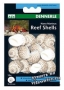 Раковины улиток для естественных декорация Dennerle Nano  Marinus ReefShell - M, 15 шт